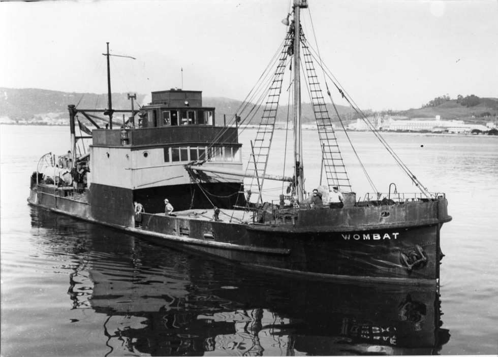Hopkins001